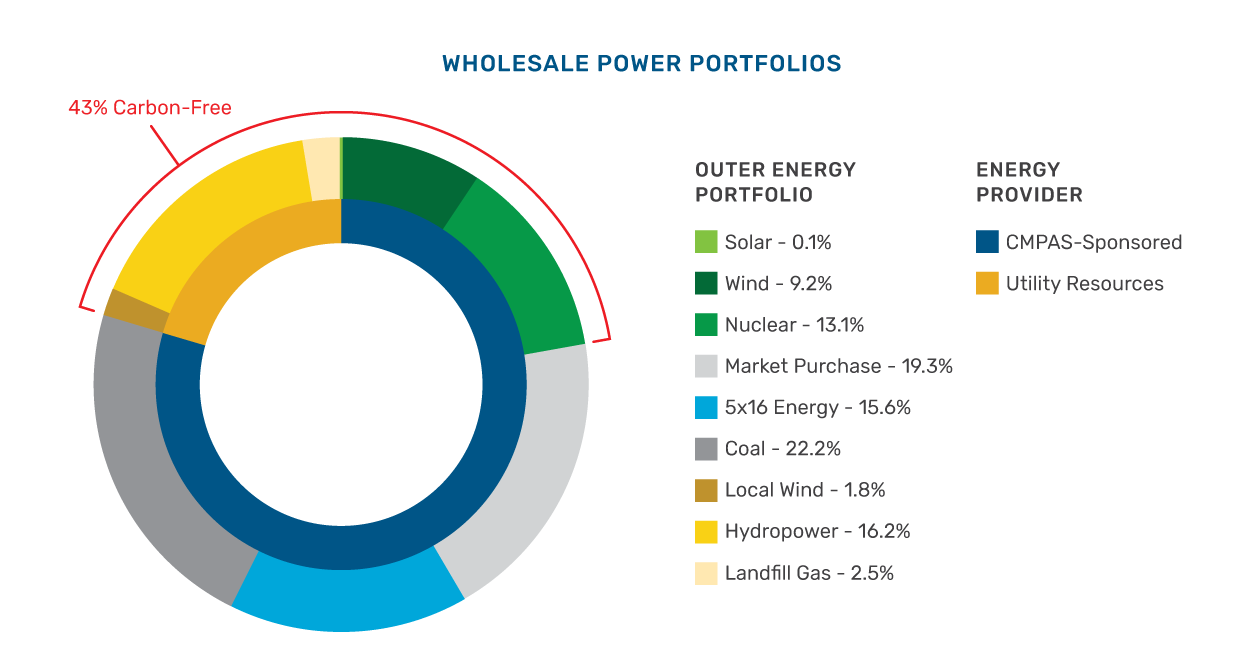 2019 wholesale power portfolios